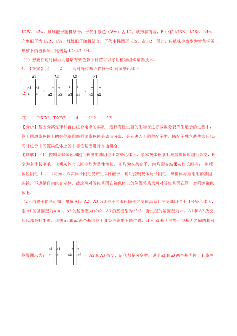 押新高考卷遗传与进化（解析版）-备战2024年高考生物临考题号押题（新高考通用）_2024年新高考资料_5.2024三轮冲刺_备战2024年高考生物临考题号押题（新高考通用）322745222_594