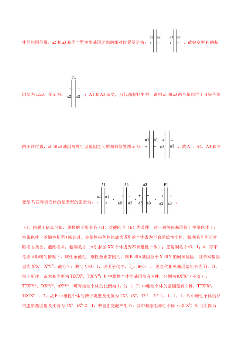 押新高考卷遗传与进化（解析版）-备战2024年高考生物临考题号押题（新高考通用）_2024年新高考资料_5.2024三轮冲刺_备战2024年高考生物临考题号押题（新高考通用）322745222_594