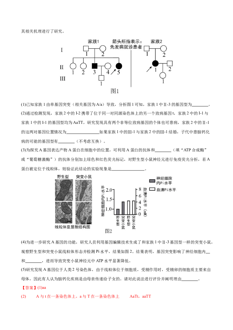押新高考卷遗传与进化（解析版）-备战2024年高考生物临考题号押题（新高考通用）_2024年新高考资料_5.2024三轮冲刺_备战2024年高考生物临考题号押题（新高考通用）322745222_594