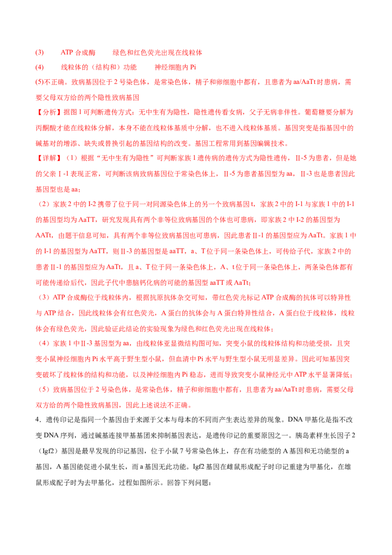 押新高考卷遗传与进化（解析版）-备战2024年高考生物临考题号押题（新高考通用）_2024年新高考资料_5.2024三轮冲刺_备战2024年高考生物临考题号押题（新高考通用）322745222_594