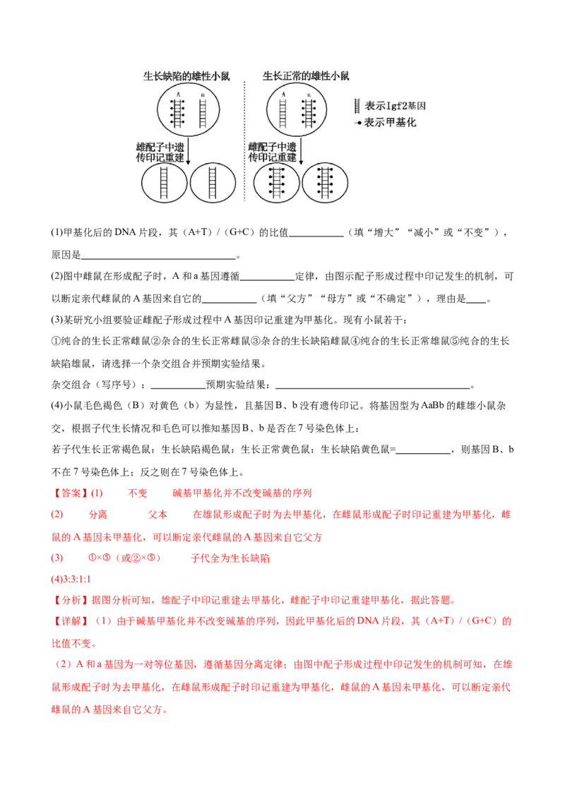 押新高考卷遗传与进化（解析版）-备战2024年高考生物临考题号押题（新高考通用）_2024年新高考资料_5.2024三轮冲刺_备战2024年高考生物临考题号押题（新高考通用）322745222_594