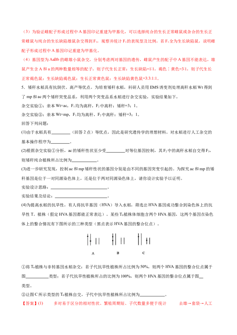 押新高考卷遗传与进化（解析版）-备战2024年高考生物临考题号押题（新高考通用）_2024年新高考资料_5.2024三轮冲刺_备战2024年高考生物临考题号押题（新高考通用）322745222_594