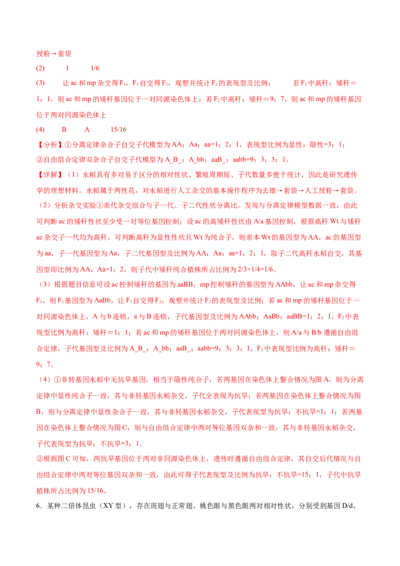 押新高考卷遗传与进化（解析版）-备战2024年高考生物临考题号押题（新高考通用）_2024年新高考资料_5.2024三轮冲刺_备战2024年高考生物临考题号押题（新高考通用）322745222_594