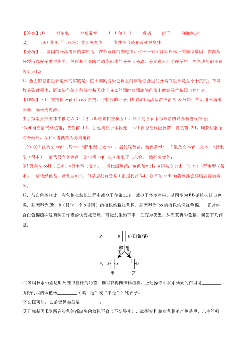 押新高考卷遗传与进化（解析版）-备战2024年高考生物临考题号押题（新高考通用）_2024年新高考资料_5.2024三轮冲刺_备战2024年高考生物临考题号押题（新高考通用）322745222_594