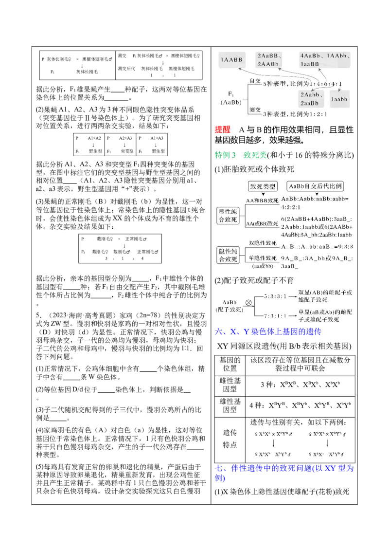 押新高考卷遗传与进化（解析版）-备战2024年高考生物临考题号押题（新高考通用）_2024年新高考资料_5.2024三轮冲刺_备战2024年高考生物临考题号押题（新高考通用）322745222_594