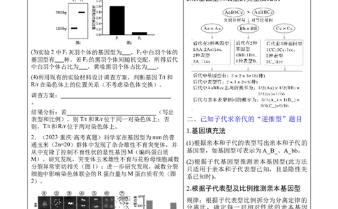 押新高考卷遗传与进化（解析版）-备战2024年高考生物临考题号押题（新高考通用）_2024年新高考资料_5.2024三轮冲刺_备战2024年高考生物临考题号押题（新高考通用）322745222_594