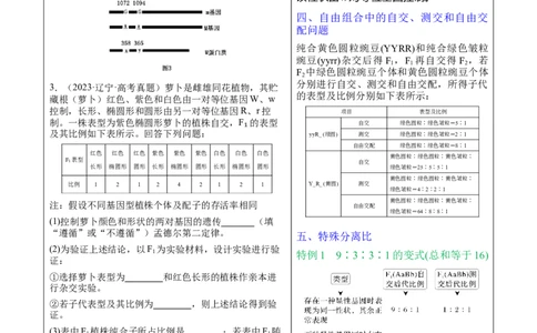 押新高考卷遗传与进化（解析版）-备战2024年高考生物临考题号押题（新高考通用）_2024年新高考资料_5.2024三轮冲刺_备战2024年高考生物临考题号押题（新高考通用）322745222_594