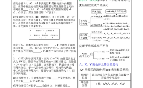 押新高考卷遗传与进化（解析版）-备战2024年高考生物临考题号押题（新高考通用）_2024年新高考资料_5.2024三轮冲刺_备战2024年高考生物临考题号押题（新高考通用）322745222_594