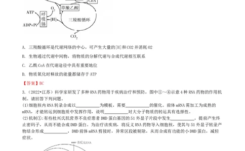 热点题型答题技巧（4大题型）-2024年高考生物考前最后冲刺+_2024年新高考资料_5.2024三轮冲刺_2024年高考生物考前最后冲刺