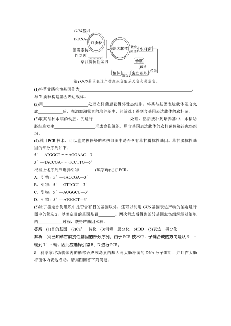 2023年高考生物一轮复习（全国版）第10单元第2课时　基因工程的应用和蛋白质工程_通用版（老高考）复习资料_2023年复习资料_一轮复习_2023年高考生物一轮复习讲义+课件（全国版）