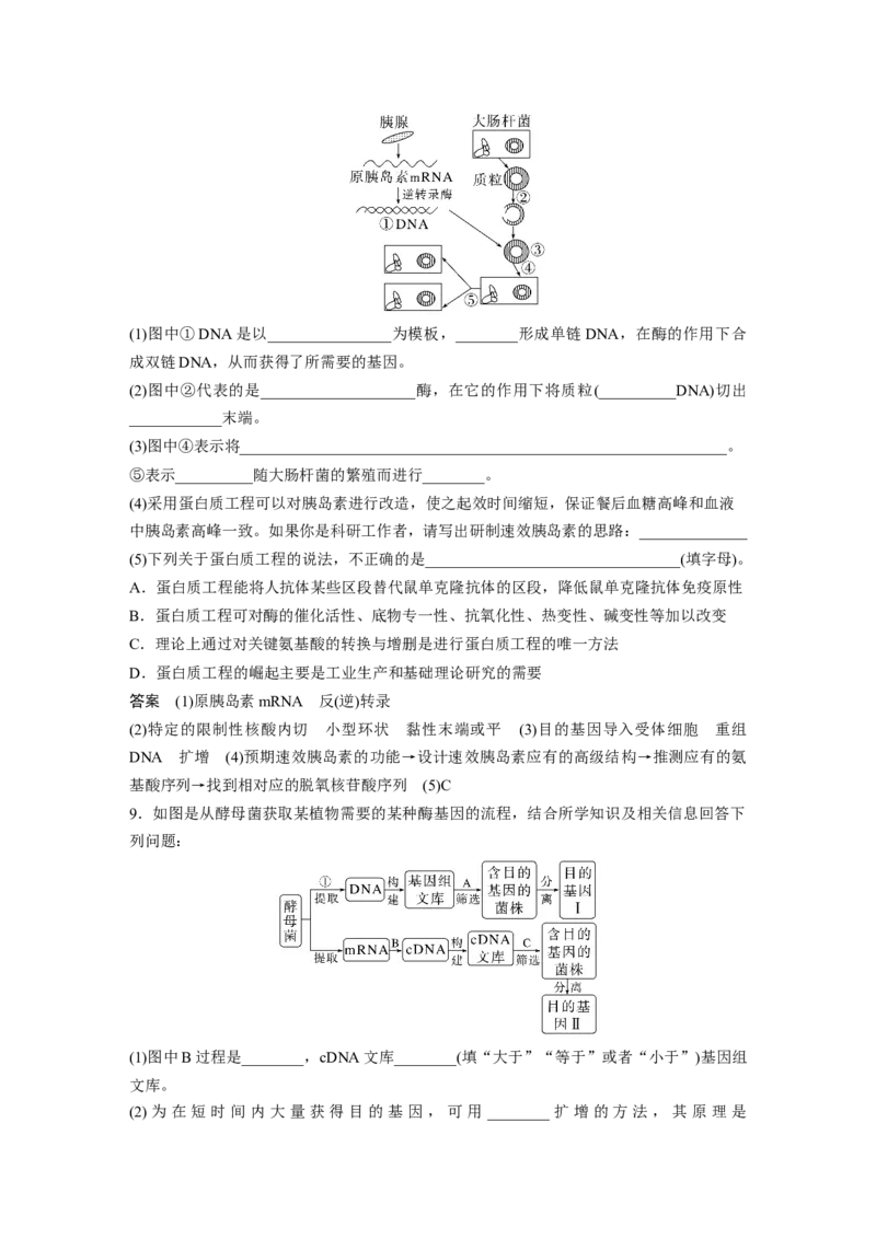 2023年高考生物一轮复习（全国版）第10单元第2课时　基因工程的应用和蛋白质工程_通用版（老高考）复习资料_2023年复习资料_一轮复习_2023年高考生物一轮复习讲义+课件（全国版）