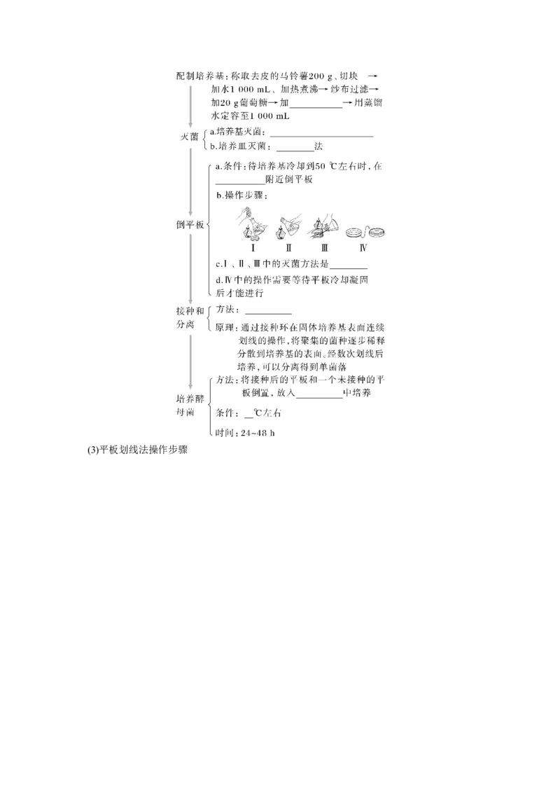 第10单元　第2课时　微生物的培养技术及应用_2024年新高考资料_1.2024一轮复习_2024年高考生物一轮复习讲义（新人教版）_学生版在此文件夹_大一轮复习讲义_第十单元　生物技术与工程