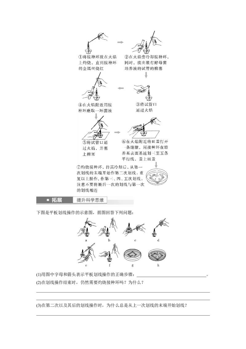 第10单元　第2课时　微生物的培养技术及应用_2024年新高考资料_1.2024一轮复习_2024年高考生物一轮复习讲义（新人教版）_学生版在此文件夹_大一轮复习讲义_第十单元　生物技术与工程