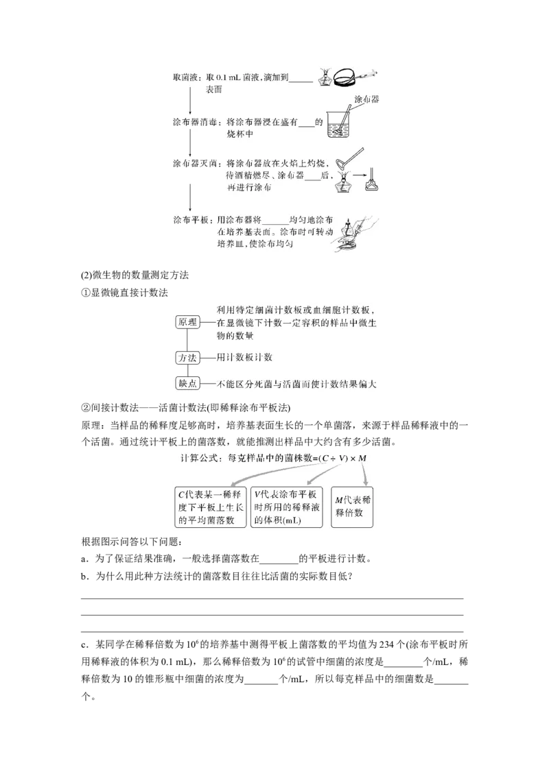 第10单元　第2课时　微生物的培养技术及应用_2024年新高考资料_1.2024一轮复习_2024年高考生物一轮复习讲义（新人教版）_学生版在此文件夹_大一轮复习讲义_第十单元　生物技术与工程
