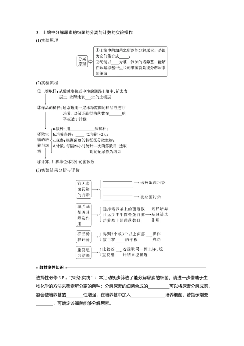 第10单元　第2课时　微生物的培养技术及应用_2024年新高考资料_1.2024一轮复习_2024年高考生物一轮复习讲义（新人教版）_学生版在此文件夹_大一轮复习讲义_第十单元　生物技术与工程