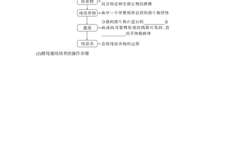 第10单元　第2课时　微生物的培养技术及应用_2024年新高考资料_1.2024一轮复习_2024年高考生物一轮复习讲义（新人教版）_学生版在此文件夹_大一轮复习讲义_第十单元　生物技术与工程