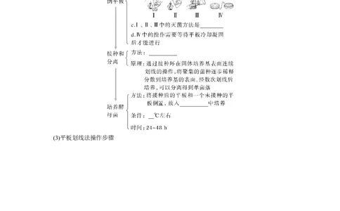 第10单元　第2课时　微生物的培养技术及应用_2024年新高考资料_1.2024一轮复习_2024年高考生物一轮复习讲义（新人教版）_学生版在此文件夹_大一轮复习讲义_第十单元　生物技术与工程