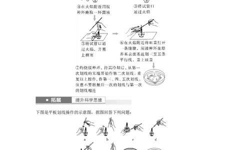 第10单元　第2课时　微生物的培养技术及应用_2024年新高考资料_1.2024一轮复习_2024年高考生物一轮复习讲义（新人教版）_学生版在此文件夹_大一轮复习讲义_第十单元　生物技术与工程