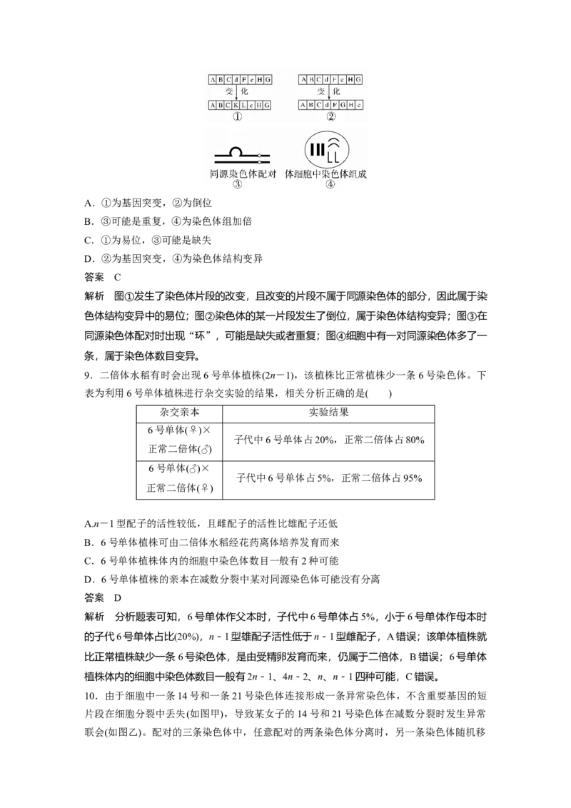 2023年高考生物一轮复习（新人教新高考）第7单元第2课时　染色体变异_新高考复习资料_2023年新高考复习资料_一轮复习_2023年新高考大一轮复习讲义