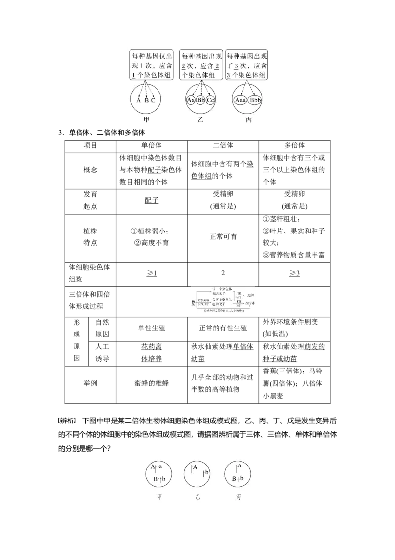 2023年高考生物一轮复习（新人教新高考）第7单元第2课时　染色体变异_新高考复习资料_2023年新高考复习资料_一轮复习_2023年新高考大一轮复习讲义