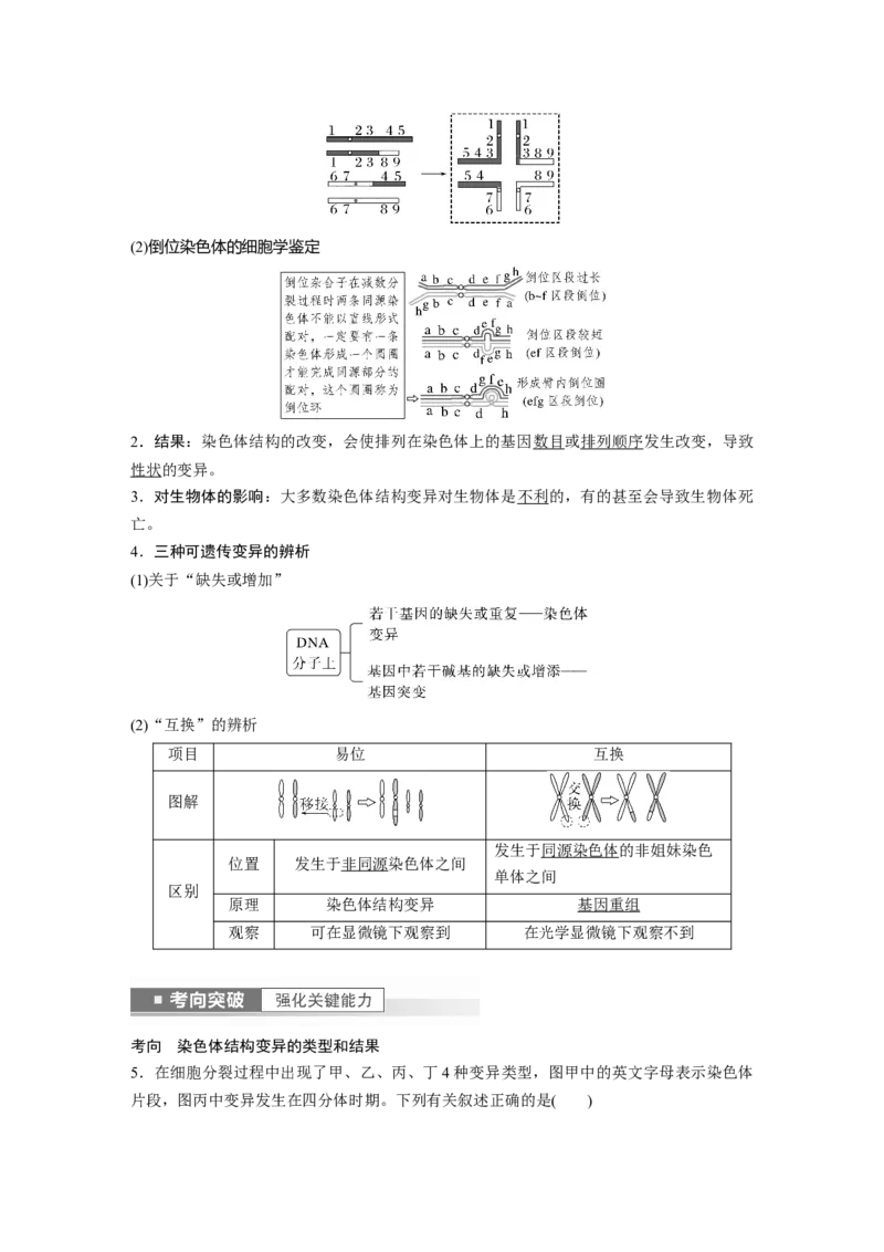 2023年高考生物一轮复习（新人教新高考）第7单元第2课时　染色体变异_新高考复习资料_2023年新高考复习资料_一轮复习_2023年新高考大一轮复习讲义