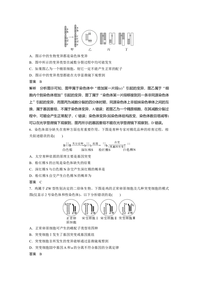 2023年高考生物一轮复习（新人教新高考）第7单元第2课时　染色体变异_新高考复习资料_2023年新高考复习资料_一轮复习_2023年新高考大一轮复习讲义