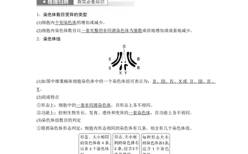 2023年高考生物一轮复习（新人教新高考）第7单元第2课时　染色体变异_新高考复习资料_2023年新高考复习资料_一轮复习_2023年新高考大一轮复习讲义