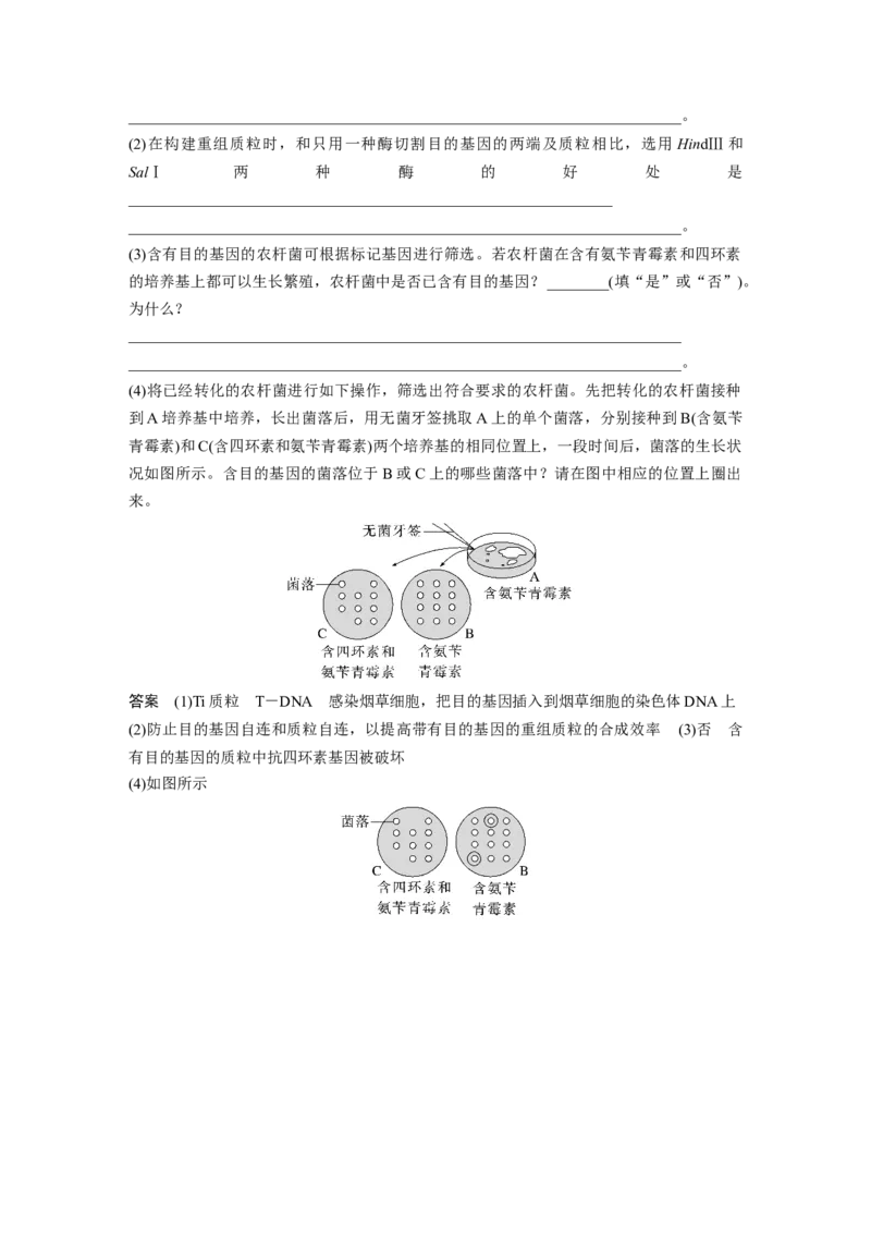 2023年高考生物一轮复习（新人教新高考）第10单元第6课时　基因工程的基本工具和基本操作程序_新高考复习资料_2023年新高考复习资料_一轮复习_2023年新高考大一轮复习讲义