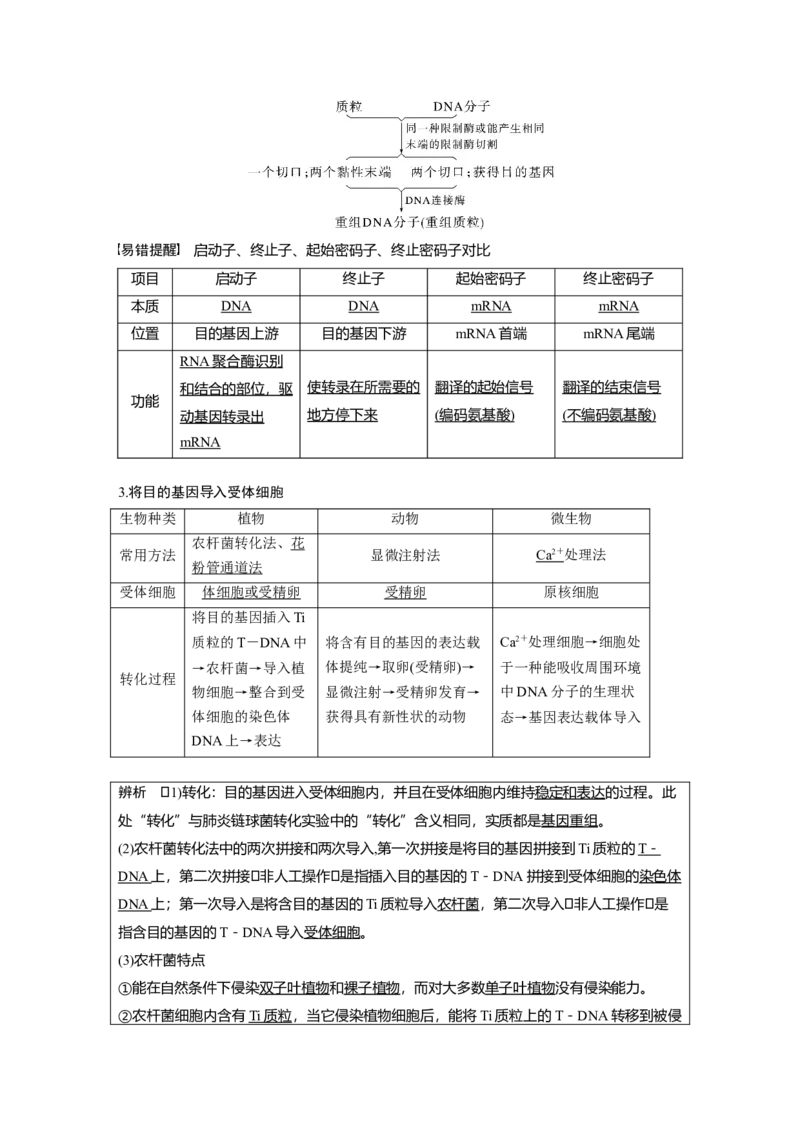 2023年高考生物一轮复习（新人教新高考）第10单元第6课时　基因工程的基本工具和基本操作程序_新高考复习资料_2023年新高考复习资料_一轮复习_2023年新高考大一轮复习讲义