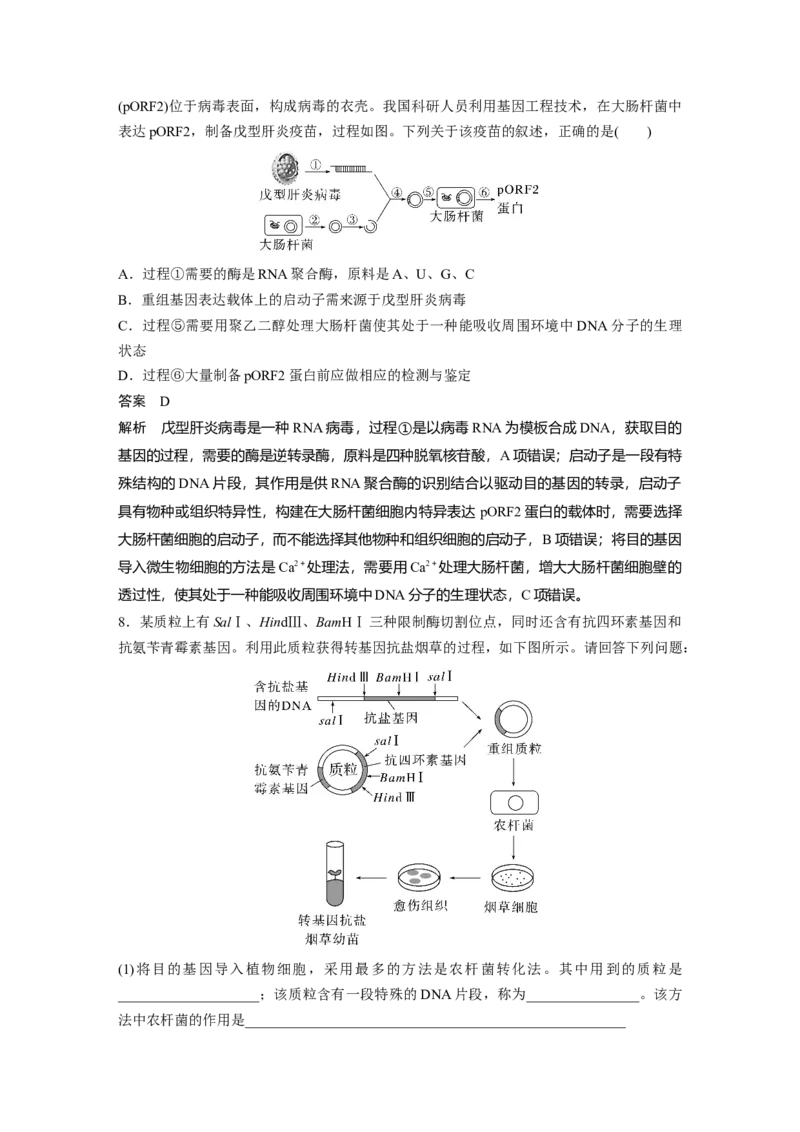 2023年高考生物一轮复习（新人教新高考）第10单元第6课时　基因工程的基本工具和基本操作程序_新高考复习资料_2023年新高考复习资料_一轮复习_2023年新高考大一轮复习讲义