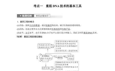 2023年高考生物一轮复习（新人教新高考）第10单元第6课时　基因工程的基本工具和基本操作程序_新高考复习资料_2023年新高考复习资料_一轮复习_2023年新高考大一轮复习讲义