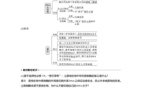 2023年高考生物一轮复习（新人教新高考）第10单元第6课时　基因工程的基本工具和基本操作程序_新高考复习资料_2023年新高考复习资料_一轮复习_2023年新高考大一轮复习讲义