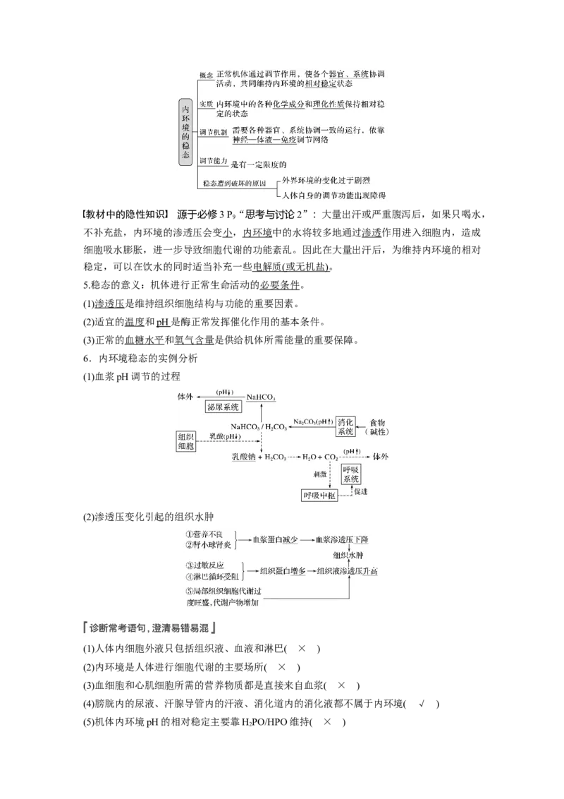 2022年高考生物一轮复习第8单元第23讲　人体的内环境稳态及实例_新高考复习资料_2022年新高考复习资料_2022年一轮复习最新版_1.2022年高考生物一轮复习全国通用版