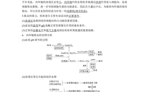 2022年高考生物一轮复习第8单元第23讲　人体的内环境稳态及实例_新高考复习资料_2022年新高考复习资料_2022年一轮复习最新版_1.2022年高考生物一轮复习全国通用版