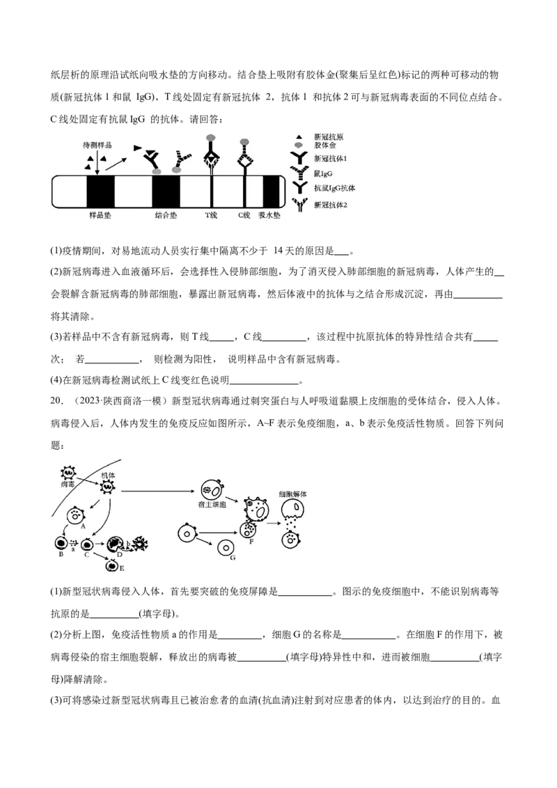 第12讲免疫调节（练习）（原卷版）_2024年新高考资料_2.2024二轮复习_2024年高考生物二轮复习讲练测（新教材新高考）