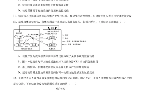 第12讲免疫调节（练习）（原卷版）_2024年新高考资料_2.2024二轮复习_2024年高考生物二轮复习讲练测（新教材新高考）