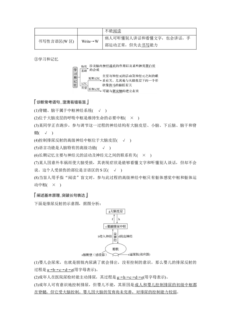 2022年高考生物一轮复习第8单元第24讲　通过神经系统的调节_新高考复习资料_2022年新高考复习资料_2022年一轮复习最新版_1.2022年高考生物一轮复习全国通用版
