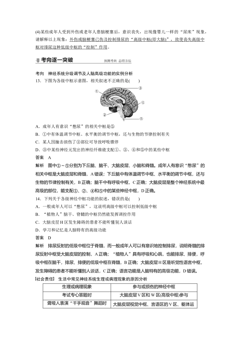2022年高考生物一轮复习第8单元第24讲　通过神经系统的调节_新高考复习资料_2022年新高考复习资料_2022年一轮复习最新版_1.2022年高考生物一轮复习全国通用版
