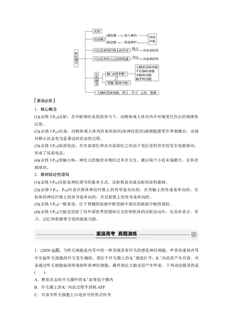 2022年高考生物一轮复习第8单元第24讲　通过神经系统的调节_新高考复习资料_2022年新高考复习资料_2022年一轮复习最新版_1.2022年高考生物一轮复习全国通用版