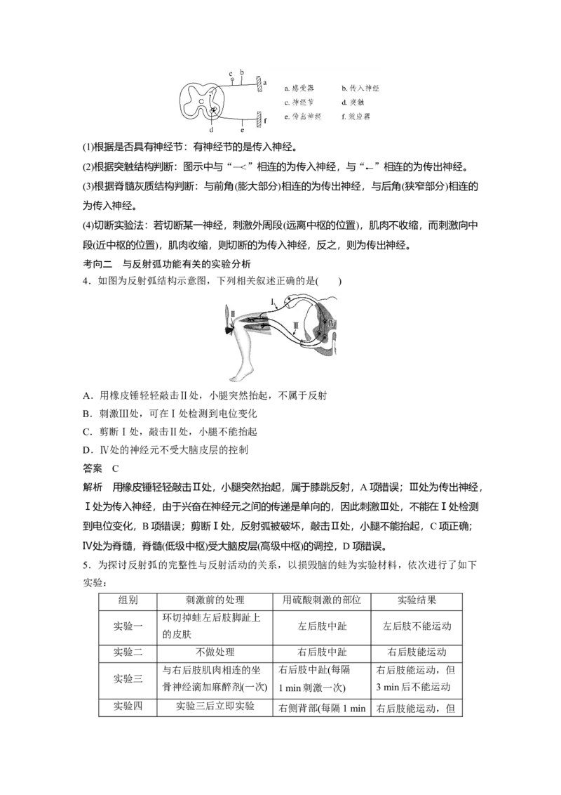 2022年高考生物一轮复习第8单元第24讲　通过神经系统的调节_新高考复习资料_2022年新高考复习资料_2022年一轮复习最新版_1.2022年高考生物一轮复习全国通用版