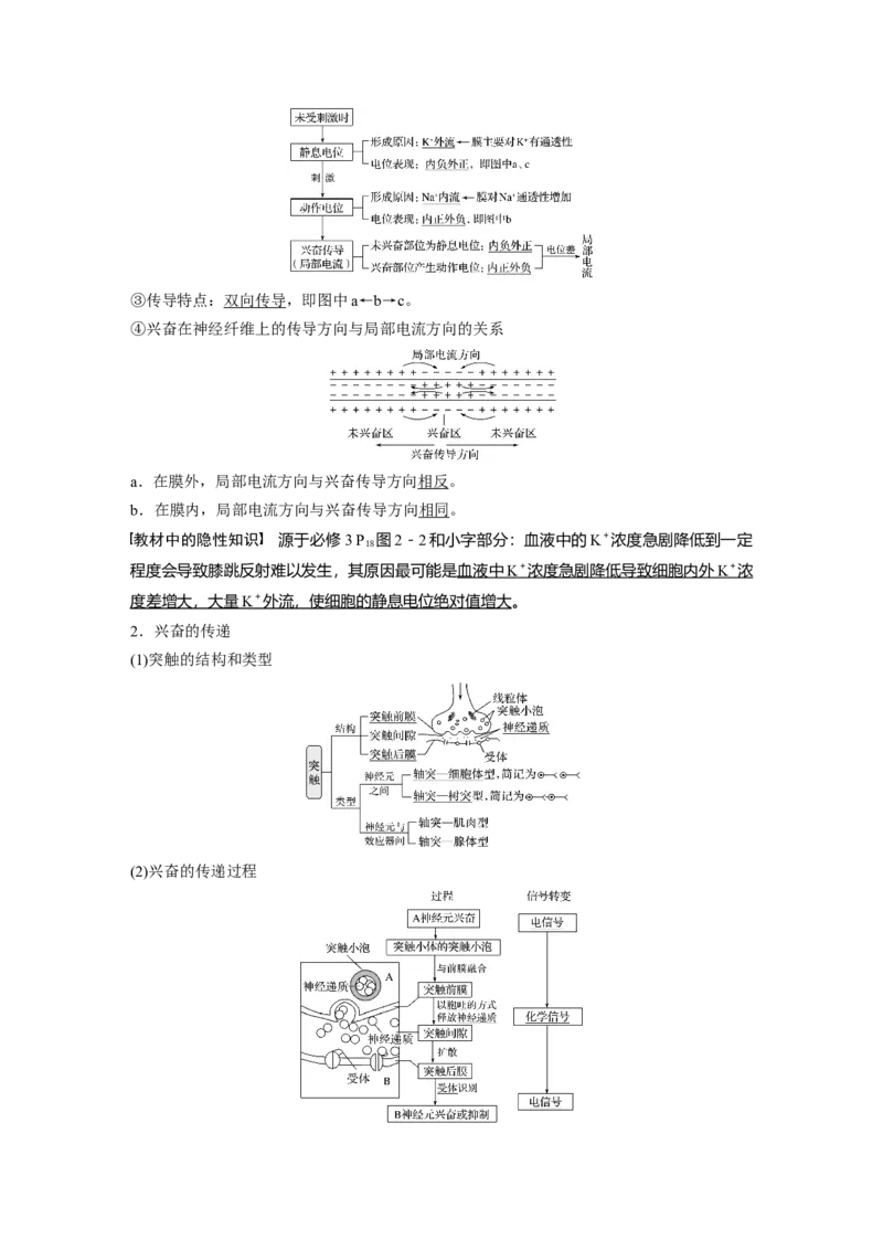 2022年高考生物一轮复习第8单元第24讲　通过神经系统的调节_新高考复习资料_2022年新高考复习资料_2022年一轮复习最新版_1.2022年高考生物一轮复习全国通用版