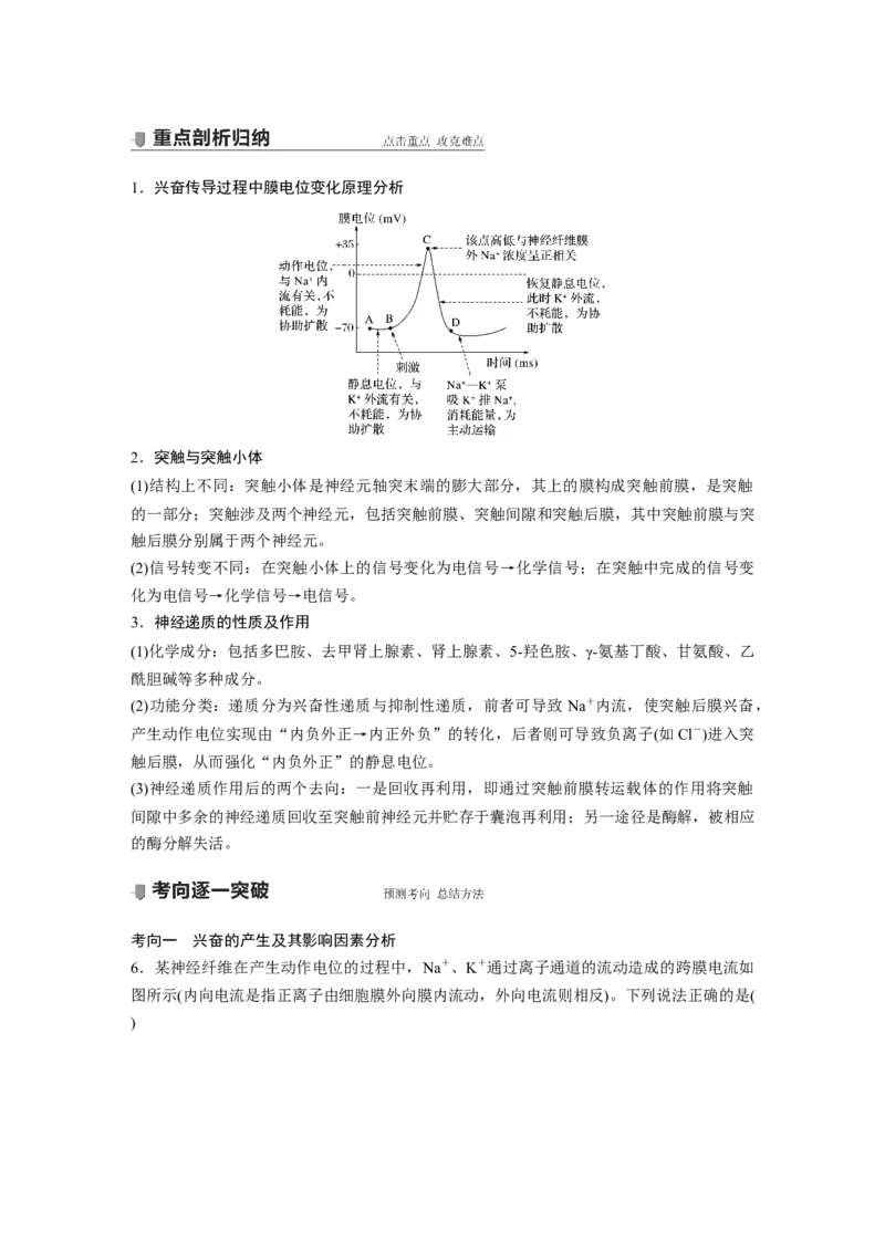2022年高考生物一轮复习第8单元第24讲　通过神经系统的调节_新高考复习资料_2022年新高考复习资料_2022年一轮复习最新版_1.2022年高考生物一轮复习全国通用版