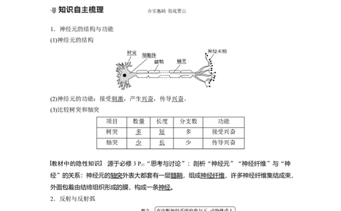 2022年高考生物一轮复习第8单元第24讲　通过神经系统的调节_新高考复习资料_2022年新高考复习资料_2022年一轮复习最新版_1.2022年高考生物一轮复习全国通用版