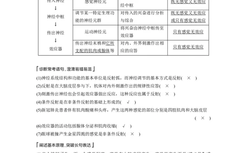 2022年高考生物一轮复习第8单元第24讲　通过神经系统的调节_新高考复习资料_2022年新高考复习资料_2022年一轮复习最新版_1.2022年高考生物一轮复习全国通用版