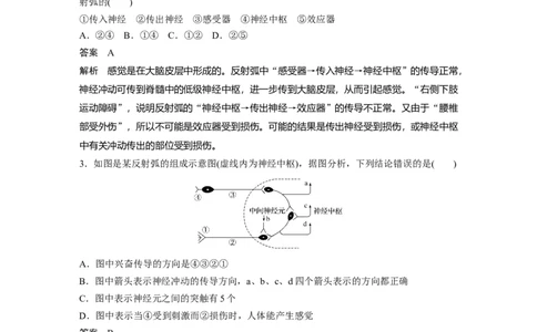 2022年高考生物一轮复习第8单元第24讲　通过神经系统的调节_新高考复习资料_2022年新高考复习资料_2022年一轮复习最新版_1.2022年高考生物一轮复习全国通用版