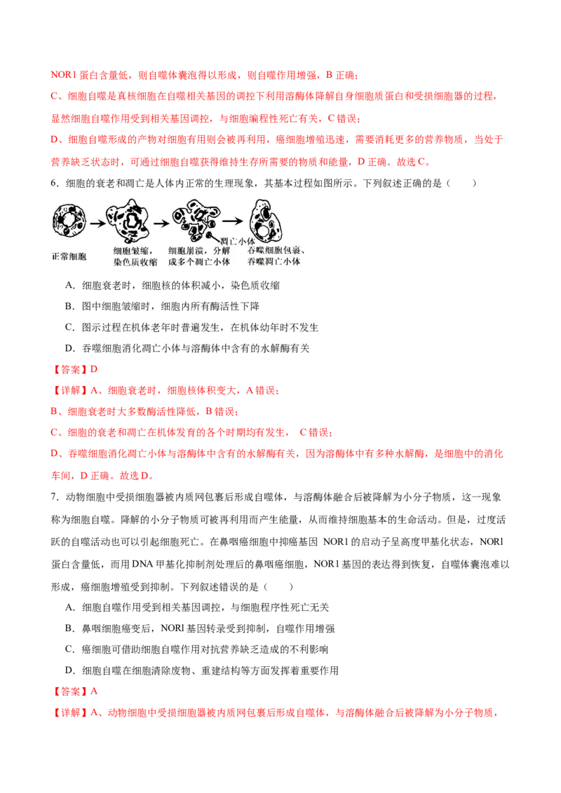 第06讲细胞的分化、衰老和死亡（练习）（解析版）_2024年新高考资料_2.2024二轮复习_2024年高考生物二轮复习讲练测（新教材新高考）