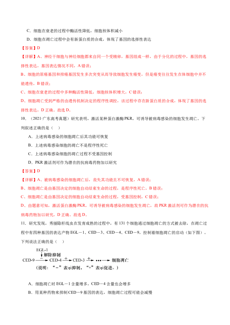 第06讲细胞的分化、衰老和死亡（练习）（解析版）_2024年新高考资料_2.2024二轮复习_2024年高考生物二轮复习讲练测（新教材新高考）