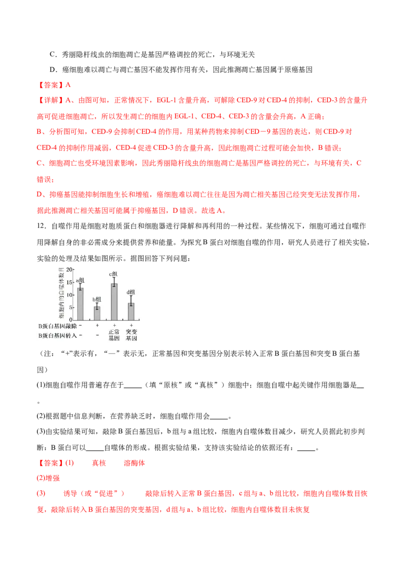第06讲细胞的分化、衰老和死亡（练习）（解析版）_2024年新高考资料_2.2024二轮复习_2024年高考生物二轮复习讲练测（新教材新高考）