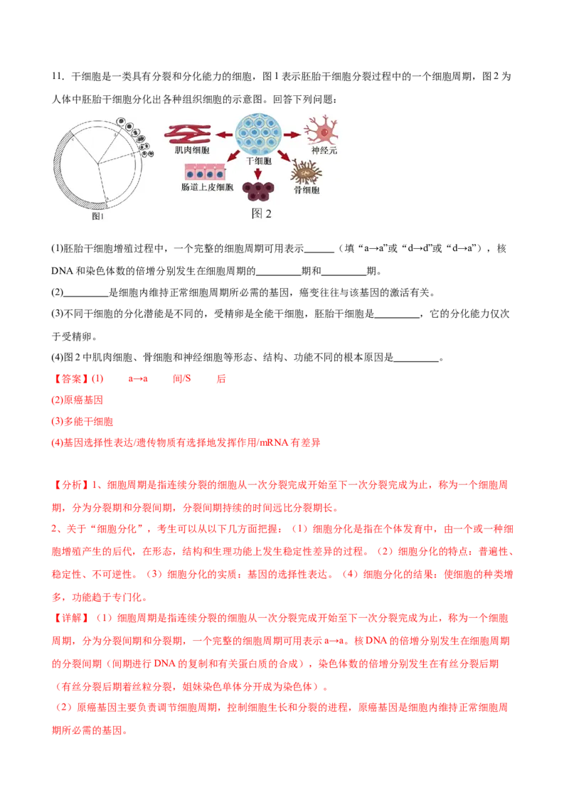 第06讲细胞的分化、衰老和死亡（练习）（解析版）_2024年新高考资料_2.2024二轮复习_2024年高考生物二轮复习讲练测（新教材新高考）