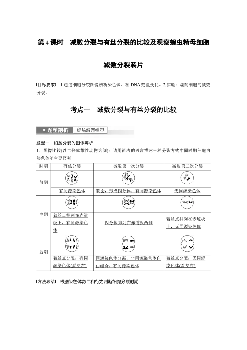 2023年高考生物一轮复习（全国版）第4单元第4课时　减数分裂与有丝分裂的比较及观察蝗虫精母细胞减数分裂装片_通用版（老高考）复习资料_2023年复习资料_一轮复习